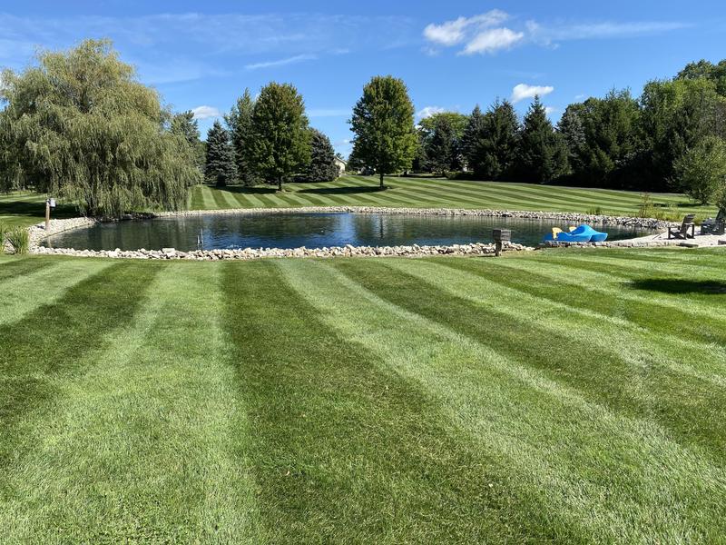 Great look after you get done mowing!
